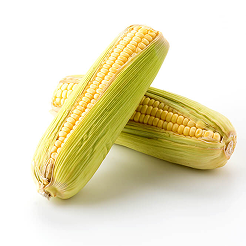 Corn
